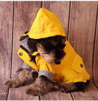 Waterproof Winter Dog Coat – Warm, Windproof Jacket for All Breeds, Perfect for Outdoor Cold Weather