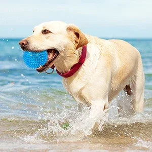 Squeaky Spiky Dog Ball – Durable Chew Toy for Teething Puppies & Aggressive Chewers