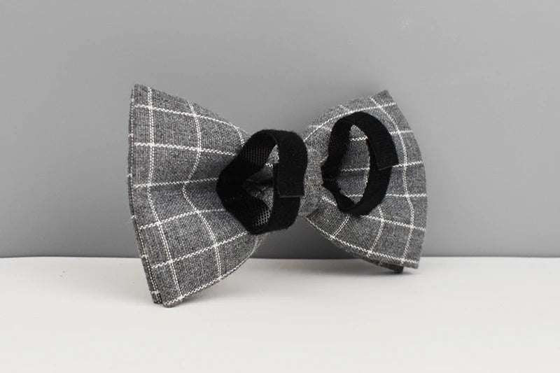 Personalized Dog Collar, Leash & Harness Set