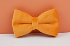 Orange Velvet Personalized Dog Collar, Leash & Harness Set