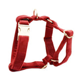 Harness