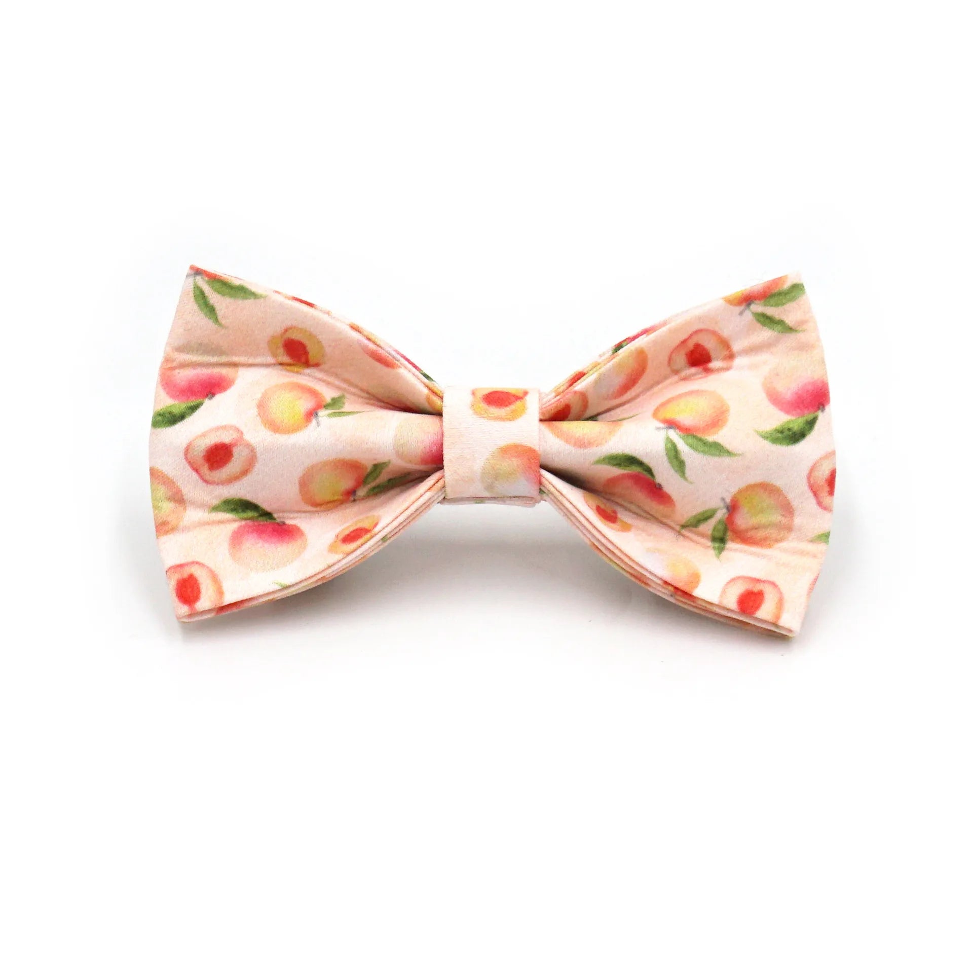 Summer Fruit Personalized Dog Bowtie Collar and Leash Set, Custom Laser Pet Necklace, Cute Pet Accessory