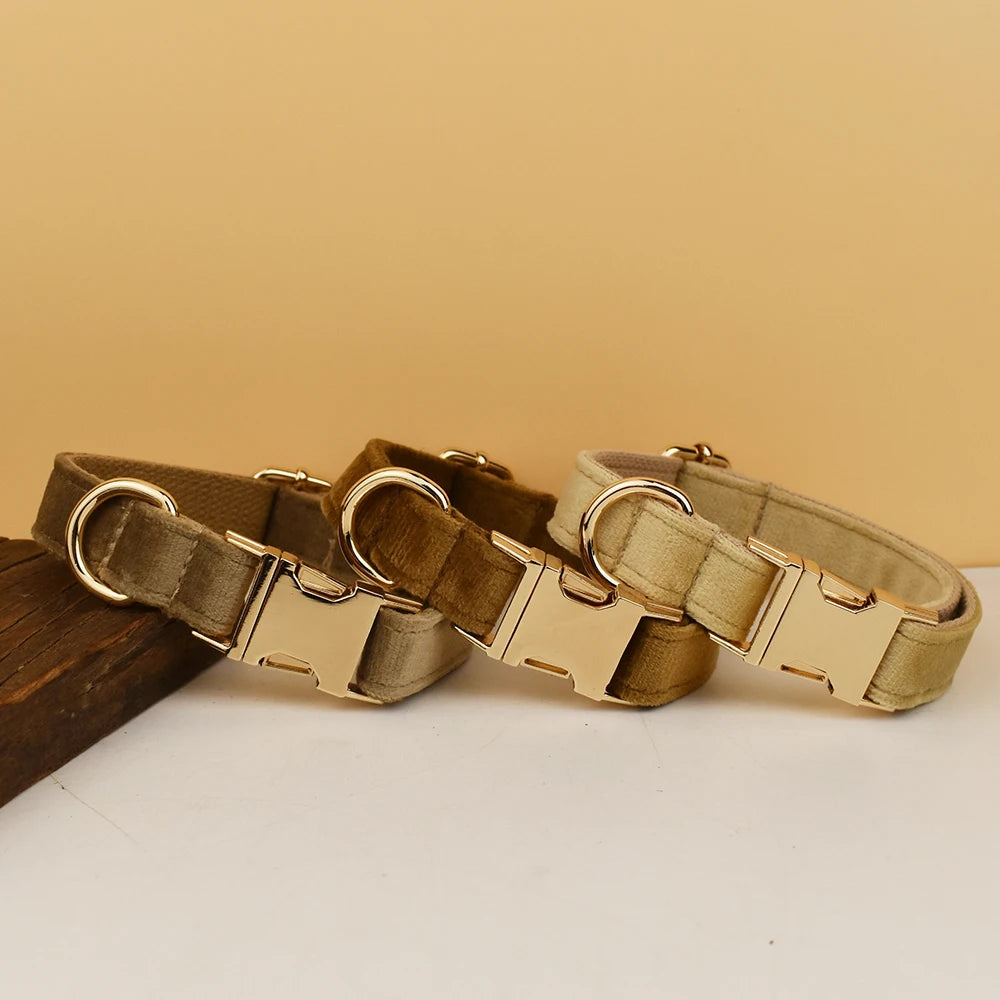 High Quality Dog Collar & Leash Set – Personalized Engraved Nameplate, Padded