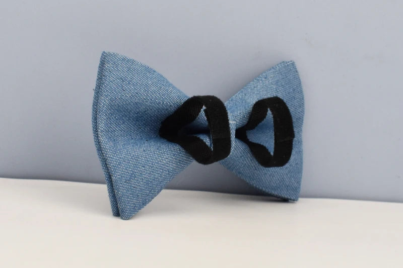 Personalized Dog Collar, Leash & Harness Set