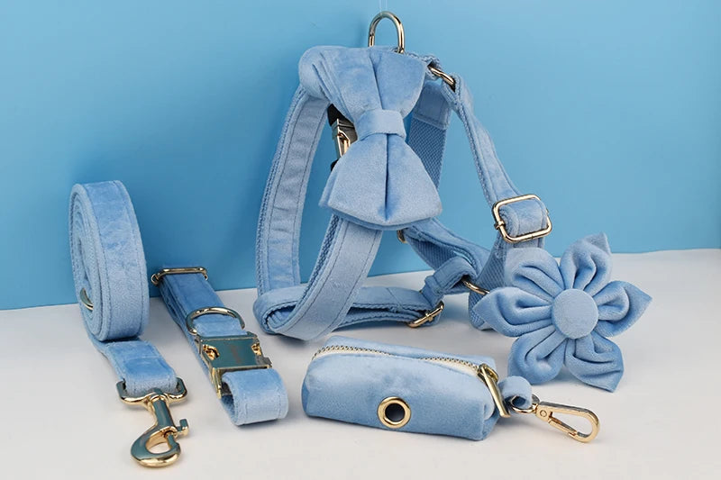 Blue Velvet Personalized Dog Collar, Leash & Harness Set