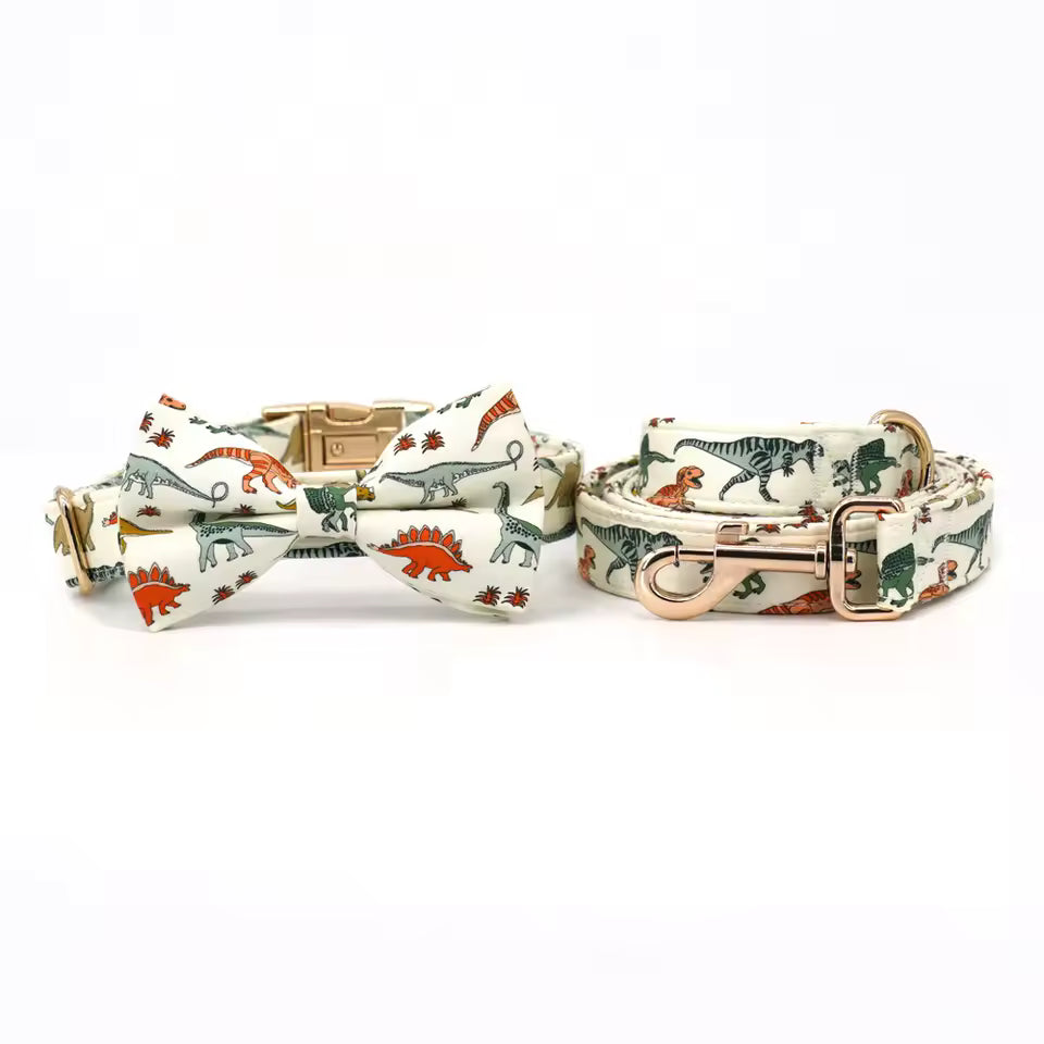 Dinosaur Dog Collar and Leash Set