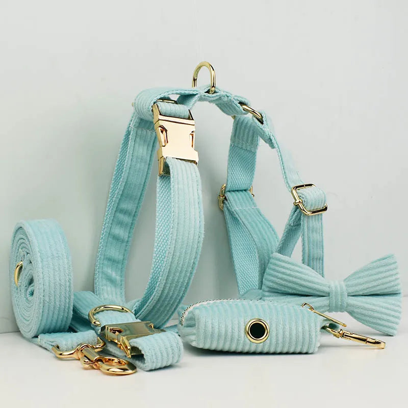 Lake Green Corduroy Personalized Dog Collar, Leash & Harness Set
