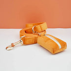 Orange Velvet Personalized Dog Collar, Leash & Harness Set
