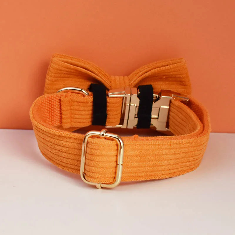 Orange Corduroy Personalized Dog Collar, Leash & Harness Set