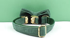 Dark Green Corduroy Personalized Dog Collar, Leash & Harness Set