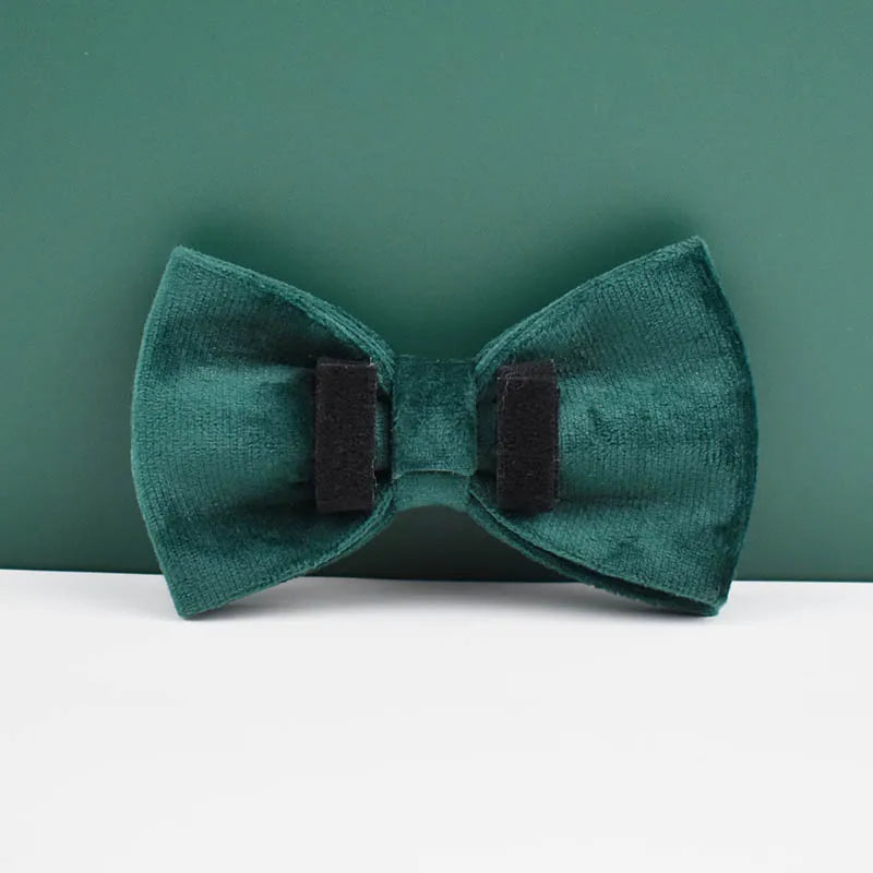 Green Velvet Personalized Dog Collar, Leash & Harness Set