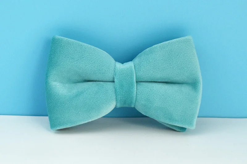 Turquoise Stone Velvet Personalized Dog Collar, Leash & Harness Set