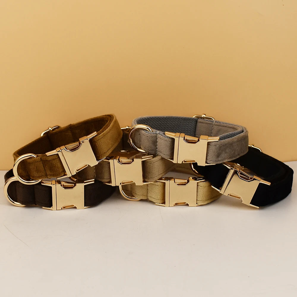 High Quality Dog Collar & Leash Set – Personalized Engraved Nameplate, Padded