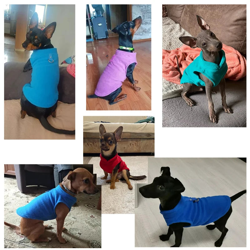 Winter Fleece Dog Vest – Warm Jacket for Small Dogs & Cats