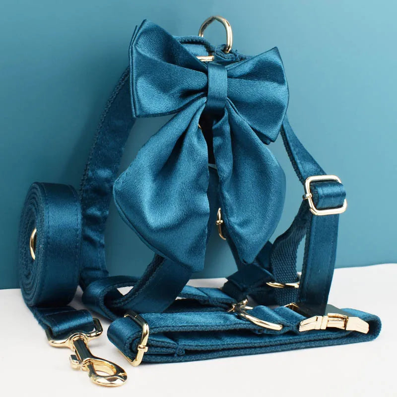 Personalized Dog Collar, Leash & Harness Set