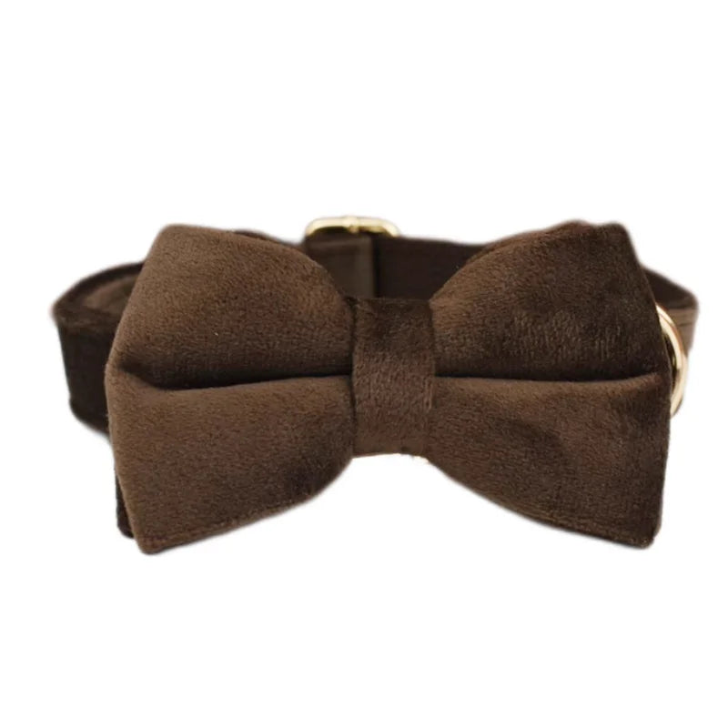 Dark Brown Velvet Personalized Dog Collar, Leash & Harness Set