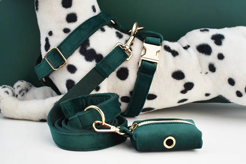 Green Velvet Personalized Dog Collar, Leash & Harness Set