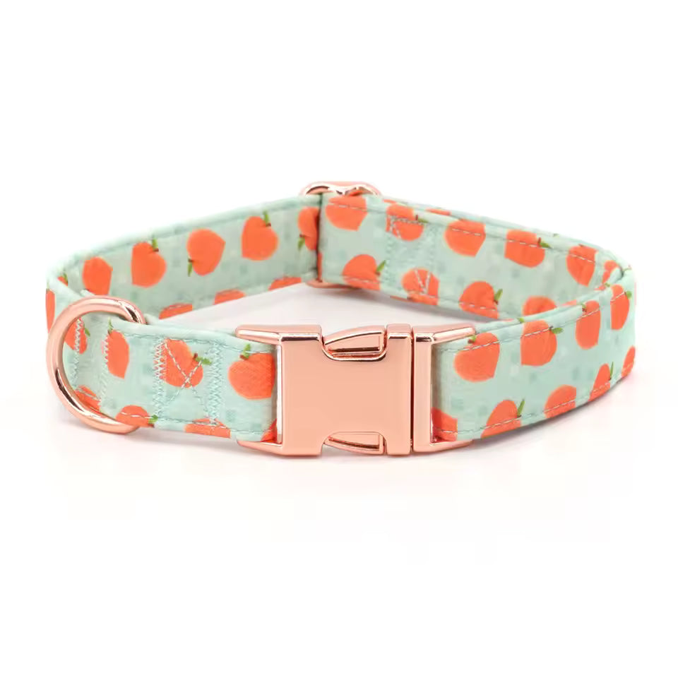 Peachy Keen Dog Collar and Leash Set