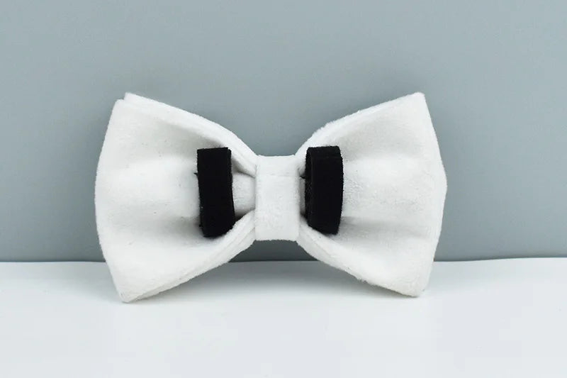 White Velvet Personalized Dog Collar, Leash & Harness Set