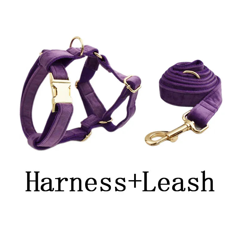Purple Velvet Personalized Dog Collar, Leash & Harness Set
