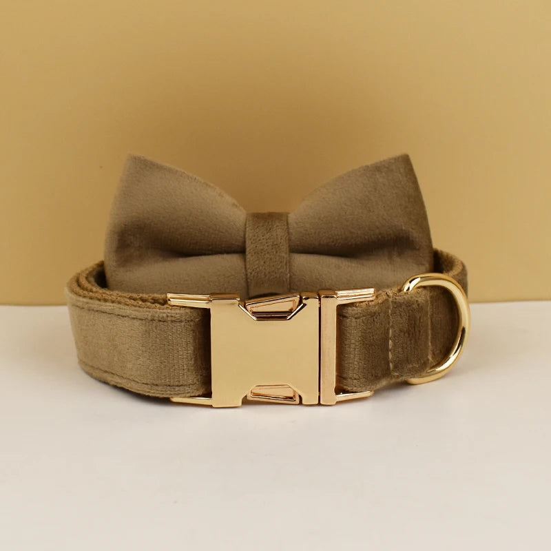 High Quality Dog Collar & Leash Set – Personalized Engraved Nameplate, Padded