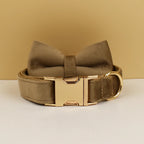 High Quality Dog Collar & Leash Set – Personalized Engraved Nameplate, Padded