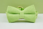 Apple Fruit Green Corduroy Personalized Dog Collar, Leash & Harness Set