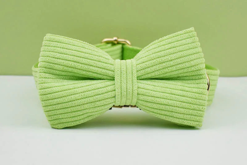 Apple Fruit Green Corduroy Personalized Dog Collar, Leash & Harness Set