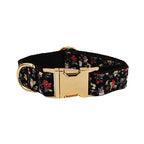 Personalized Dog Collar, Leash & Harness Set