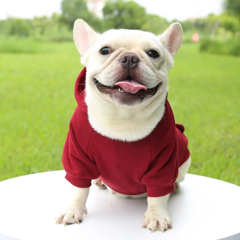 Cozy Winter Dog Hoodie – Warm Hooded Jacket for Small & Medium Dogs