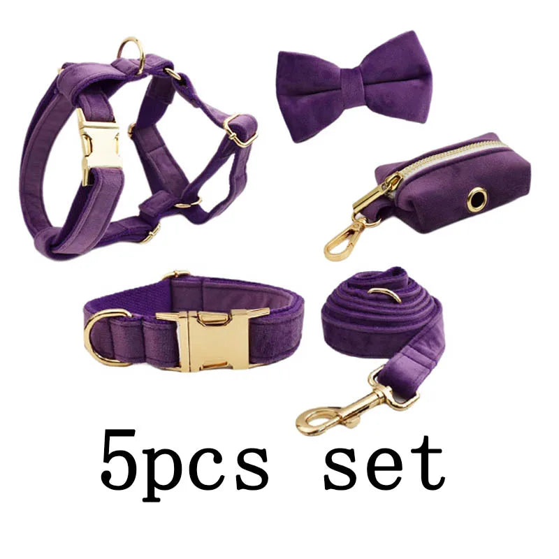 Purple Velvet Personalized Dog Collar, Leash & Harness Set