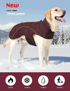 Waterproof Warm Dog Winter Jacket – Reflective Outdoor Cotton Coat for Medium & Large Dogs