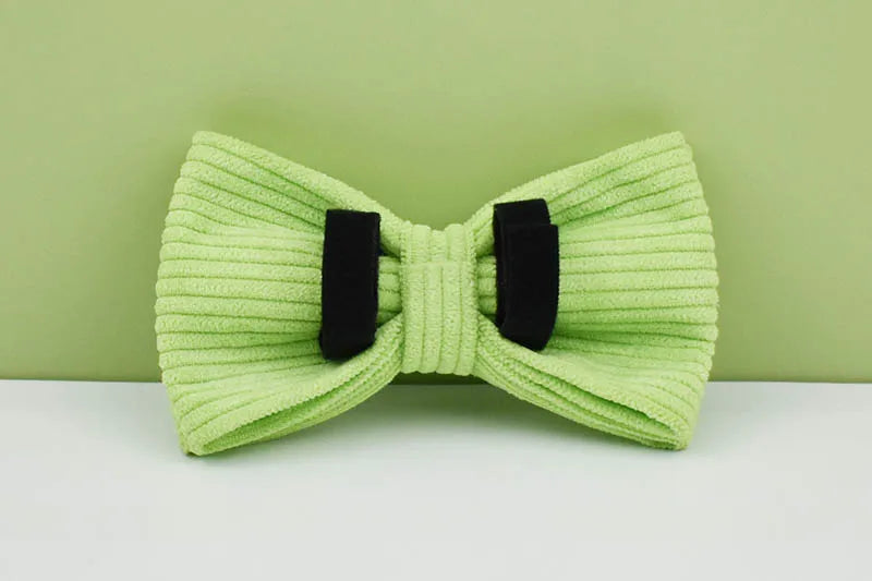 Apple Fruit Green Corduroy Personalized Dog Collar, Leash & Harness Set