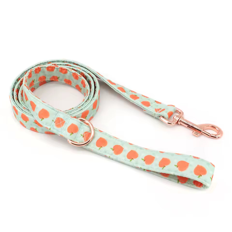 Peachy Keen Dog Collar and Leash Set