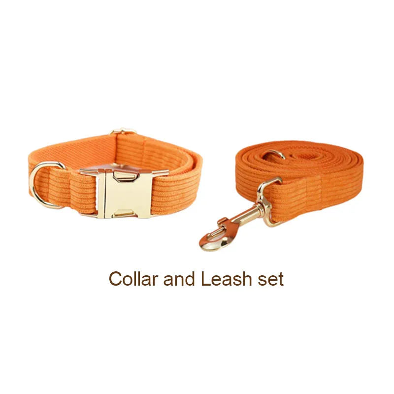 Orange Corduroy Personalized Dog Collar, Leash & Harness Set