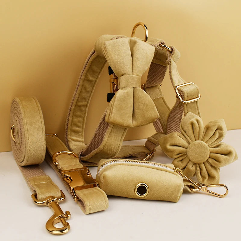 Nude Velvet Personalized Dog Collar, Leash & Harness Set