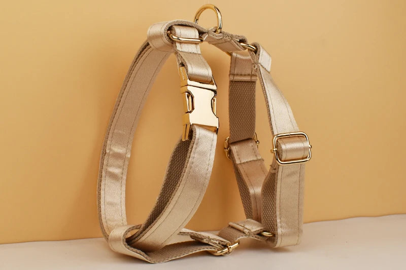 Personalized Dog Collar, Leash & Harness Set