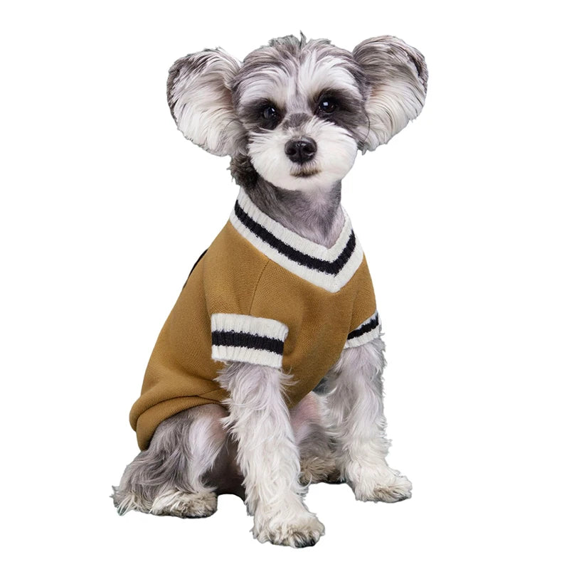 College Style Dog Sweater – Warm Winter Vest for Small & Medium Dogs