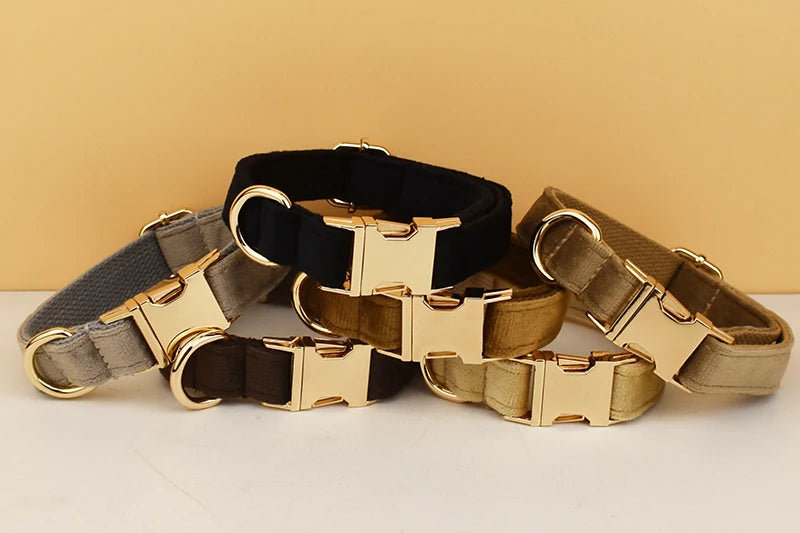 High Quality Dog Collar & Leash Set – Personalized Engraved Nameplate, Padded