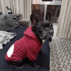 The Dog Face Hoodie – Warm Cotton Windproof Jacket for Small to Large Dogs