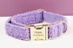 Teddy Velvet Personalized Dog Collar, Leash & Harness Set