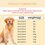 Diamond Cuban Chain Dog Collar – Luxury Pet Jewelry with Secure Buckle