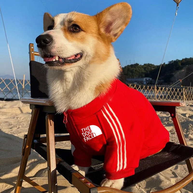 Zipper Dog Hoodie – Warm Autumn & Winter Coat for Small, Medium & Large Pets