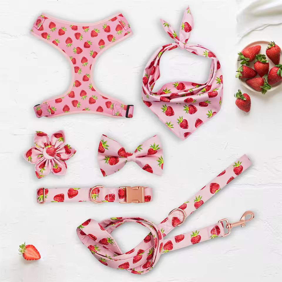 D&D Paws Designed Straberry Dog Vest Set