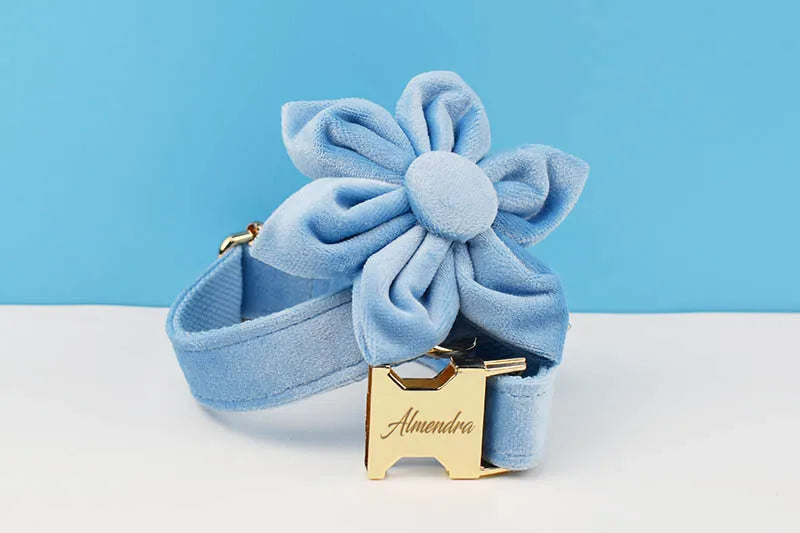 Blue Velvet Personalized Dog Collar, Leash & Harness Set