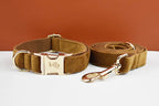 Light Coffee Color Velvet Personalized Dog Collar, Leash & Harness Set
