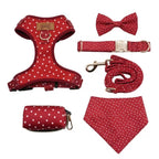 Designed Red Polka Dot Dog Vest Set