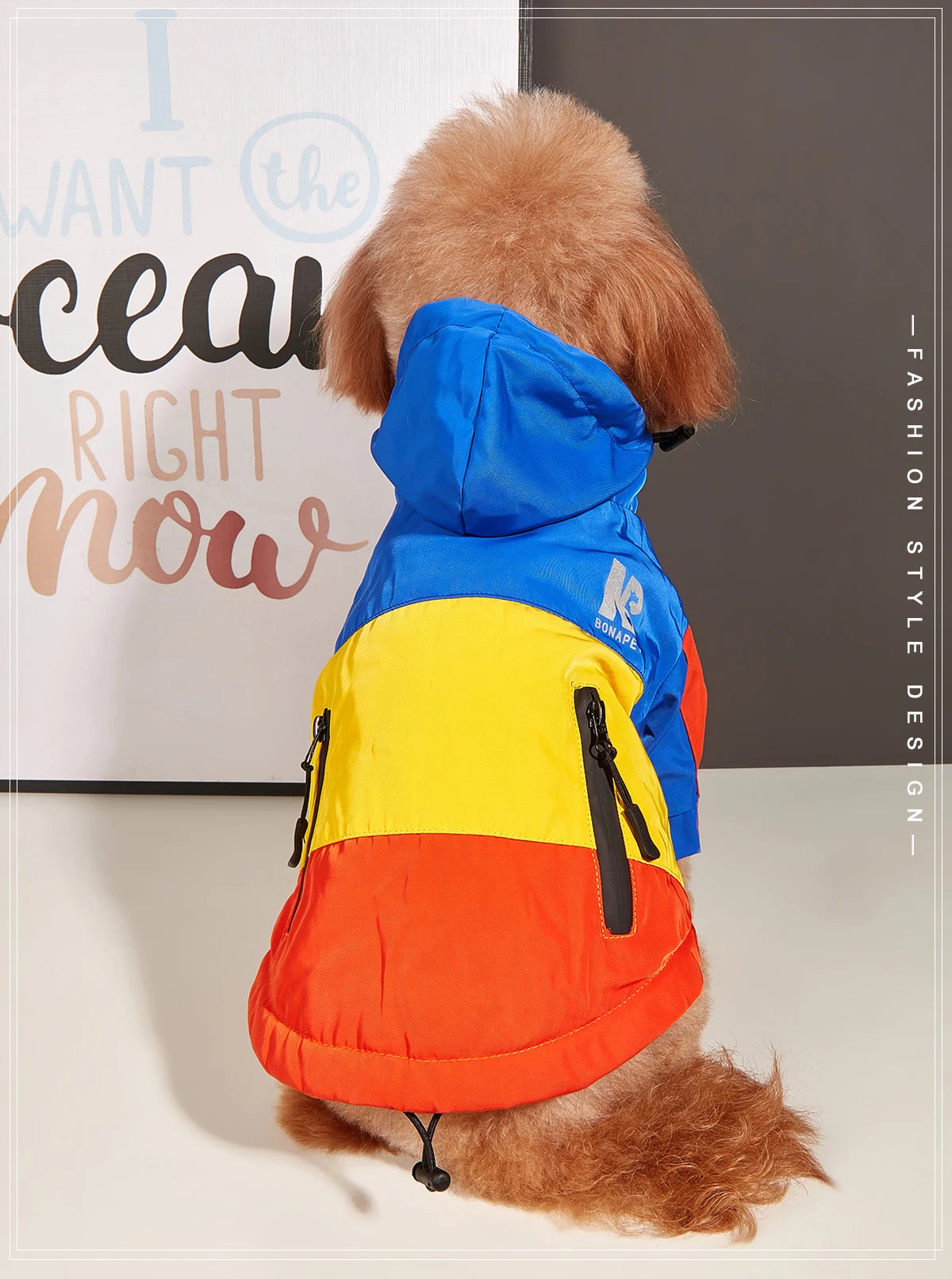 Waterproof Winter Dog Jacket – Thick Fleece-Lined, Windproof Coat for Small, Medium & Large Dogs