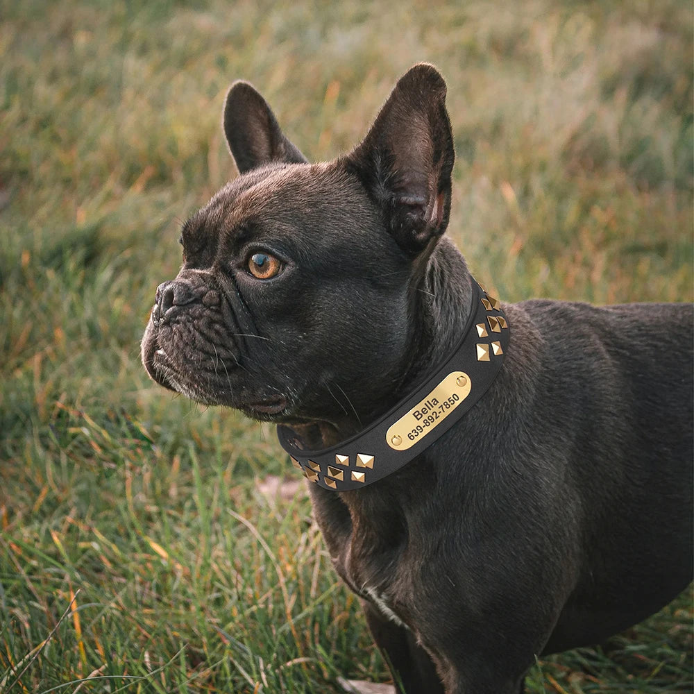 Genuine Leather Dog Collar – Personalized Spiked Studded Design for Small, Medium & Large Dogs