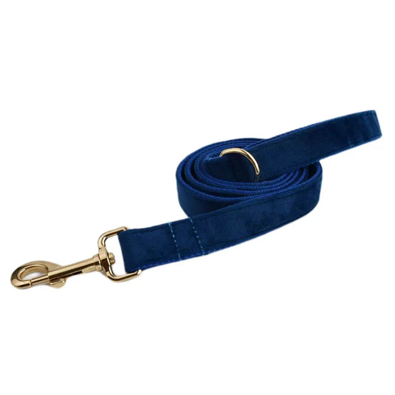 Blue Velvet Personalized Dog Collar, Leash & Harness Set